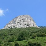 balazsh 2011